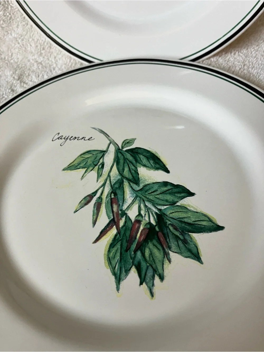2 Williams Sonoma Ceramic Herb Salad Plates Green Accents 8 3/8” Cayenne Thyme